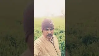 #shortsfeed #youtubeshorts #funny #india #art #shorts #tranding #travel #vid#viral #love