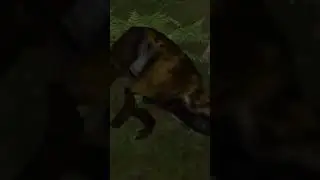 Кардиодон, базилофозавр #хищники #падшиекороли #jumpscare #охотанадинозавров