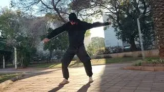 Shaolin morning - Mei Hua + Xia Hong Quan + 18 hands breathing drill
