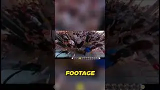Is the Insta360 X4 the Future of Storytelling?