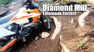 DIAMOND MILL OHV (Tillamook Forrest) KTM 300XC