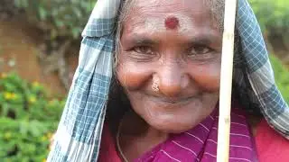 Tea Leaf Centres & Projects