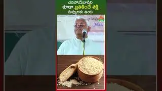 చనిపోయేవాడిని కూడా బ్రతికించే శక్తి నువ్వులకు ఉంది | sesame seeds benefits | PMC Health