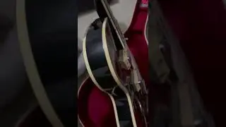 Vintage (early 60s) Silvertone 1446 and Original Case - For Sale/Trade in Indianapolis, IN