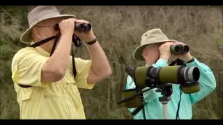 For the Birds-PBS A Gulf Coast Journal