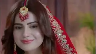 Shikanja Episode 60 Teaser | Zaron Hua Goli Se Shadeed Zakhmi | Shocking Twist | Shikanja Review 