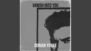 Vanish Into You