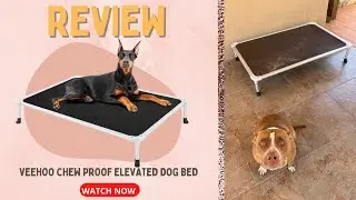Veehoo Chew Proof Elevated Dog Bed - Cooling Raised Pet Cot - Silver Aluminum Frame Review