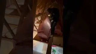 Как утеплить чердак с помощью стекловолоконной изоляции