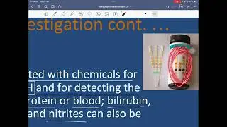 Urology-Investigations of Genitourinary Disorders part 1