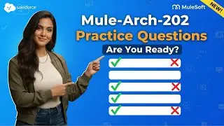 Mule-Arch-202 Practice Questions | SalesForce MuleSoft Integration Architect Exam Prep