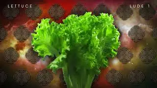 🥬 Lettuce - 'Lude 1 (Official Visual)