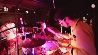 The Fat Badgers - I Gatcha Live (Official HD)