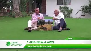 Look at how Lawn Universe can transform your yard!