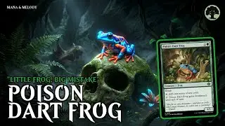 Mana & Melody - Little Frog, Big Mistake (Poison Dart Frog) | MTG Music