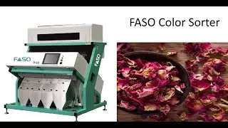 FASO DRIED ROSE PETALS - CONVEYOR MODEL, FASO COLOR SORTER, 9500888167, 9500910071, 6382306662
