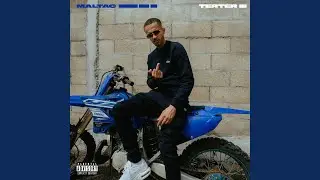 Terter 3