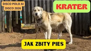 Krater -Jak zbity pies (Official Video) Disco Polo AI HIT 2026
