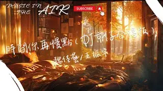 魏佳藝/王振宇 - 時間你再慢點（DJ京仔合唱版）『有多少溫暖的熟悉畫面 總在並未安睡的夢裏出現』【動態歌詞】
