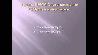 FXOpen (Форекс Опен)  . Мое мнение о брокере и его ПАММ-площадке И О ECN и STP счетах