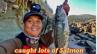 Lorne Great Ocean Road Salmon Rock Fishing.. Caught lots of Them, Willytan Peter Style