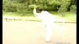 FanZi ChuoJiao