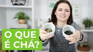 ✅ Qual a diferen&ccedil;a entre CH&Aacute; e INFUS&Atilde;O?
