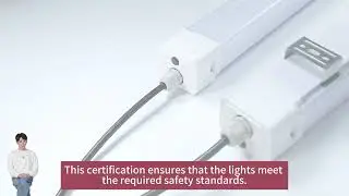 Why do triproof LED Batten lights need ETL certification？