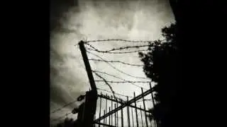 Winfried Strauss ft  Zefora - rainfall (avantgarde music, piano music, experimental music)
