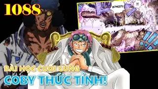 [Ph&acirc;n t&iacute;ch OP 1088]. B&agrave;i học cuối c&ugrave;ng của huyền thoại anh h&ugrave;ng hải qu&acirc;n | Coby thức tỉnh!