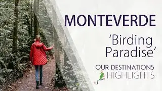Monteverde Cloud Forest - A Birding Paradise in Costa Rica