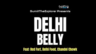 Delhi Belly, Lal Quilla, Chandni Chowk and Local Food | Day-1