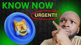 MOG CRYPTO HOLDERS  | DO THIS FOR MOONSHOT NOW!!
