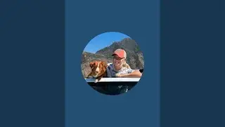Training Q&A LIVE!