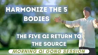 Morning Qi Gong SessionThe five Qi return to the source: Harmonize the five bodies