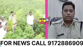 BIDAR POLICE NE GANJA PAKDA || KHET MAI GANJA PAKDA GAYA #Ganja #bidarpolice #basavakalyan 