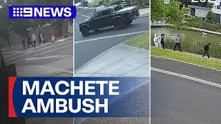 Twin brothers lured and attacked | 9 News Australia