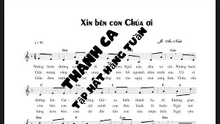 Xin Bên Con Chúa Ơi - JB An Ninh #thanhcataphathangtuan #tcthht