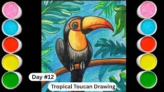 Tropical Toucan Drawing  Easy Step-by-Step Jungle Art for All Ages lets Draw & Colour