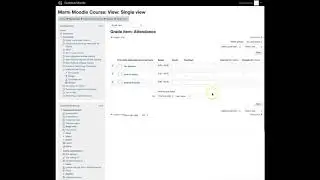 Manual Grading in Moodle