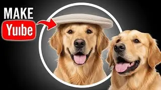 This Dog Had Trust Issues Until Today