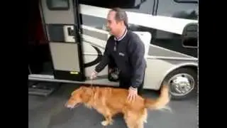 Motorhomes Reviews: 2012 Thor A.C.E. 29' Hybrid Class A & Class C RV (Dog & Pet Friendly)