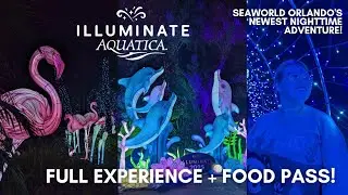 Illuminate at Aquatica: Stunning Holiday Lanterns + Sampling Delicious Festival Foods!