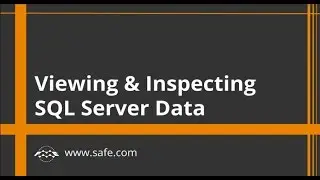 Viewing and Inspecting SQL Server Data