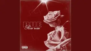 Due rose rosse