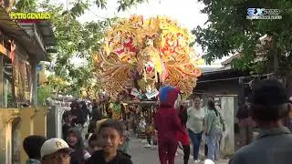 SIUUU--PUTRI GENADES -BP ANDRI-IBU CICI-SUMURBARANG-CIBOGO SBG-24-06-24