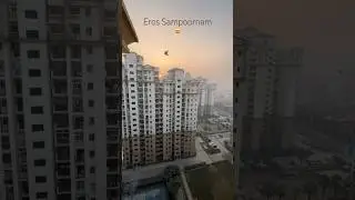 Eros Sampoornam Noida Extension 😍 #realestate #noidaproperty #noida #noidaextension #trending