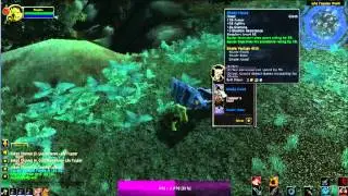 LPWoW - Item Drop on Death & Custom Set
