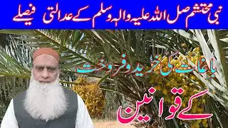 WHY THE PROPHET ﷺ PROHIBITED SELLING FRUITS BEFORE RIPENING |  |#seeratunnabi #islam #islamic #yt
