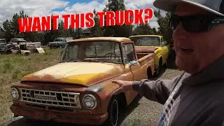 This Truck Could Be Yours: 1964 C Series 1000!